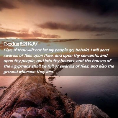 Picture 02 - Exodus 8:21 KJV - Else, if thou wilt not let my people go, behold, - Bible Verse Picture