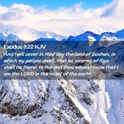 Picture 02 - Exodus 8:22 KJV - And I will sever in that day the land of Goshen, - Bible Verse Picture