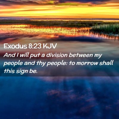 Picture 02 - Exodus 8:23 KJV - And I will put a division between my people and - Bible Verse Picture