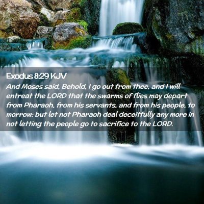 Picture 02 - Exodus 8:29 KJV - And Moses said, Behold, I go out from thee, and I - Bible Verse Picture
