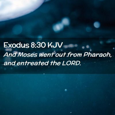 Picture 02 - Exodus 8:30 KJV - And Moses went out from Pharaoh, and entreated - Bible Verse Picture