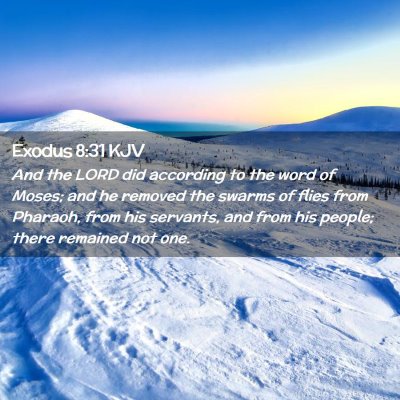 Picture 02 - Exodus 8:31 KJV - And the LORD did according to the word of Moses; - Bible Verse Picture