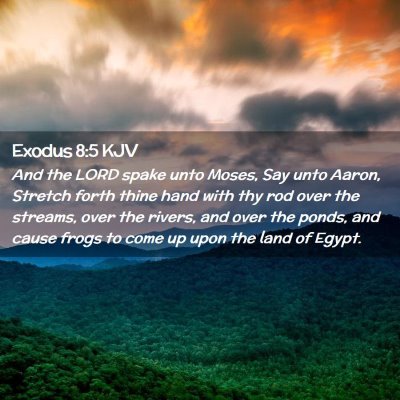 Picture 02 - Exodus 8:5 KJV - And the LORD spake unto Moses, Say unto Aaron, - Bible Verse Picture