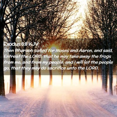 Picture 02 - Exodus 8:8 KJV - Then Pharaoh called for Moses and Aaron, and - Bible Verse Picture
