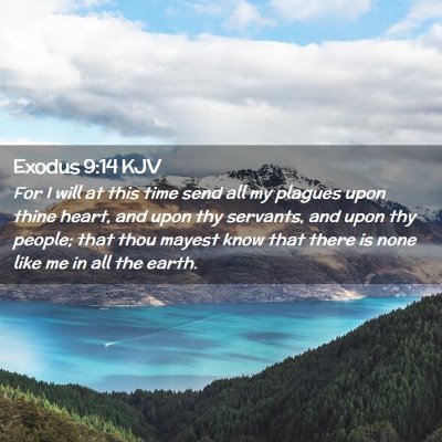 Picture 02 - Exodus 9:14 KJV - For I will at this time send all my plagues upon - Bible Verse Picture