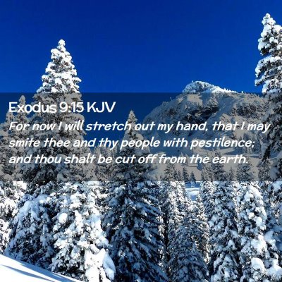 Picture 02 - Exodus 9:15 KJV - For now I will stretch out my hand, that I may - Bible Verse Picture
