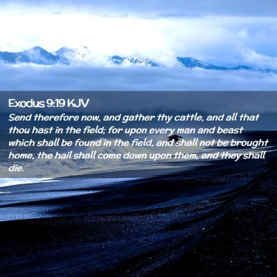 Picture 02 - Exodus 9:19 KJV - Send therefore now, and gather thy cattle, and - Bible Verse Picture