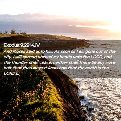 Picture 02 - Exodus 9:29 KJV - And Moses said unto him, As soon as I am gone out - Bible Verse Picture