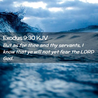 Picture 02 - Exodus 9:30 KJV - But as for thee and thy servants, I know that ye - Bible Verse Picture