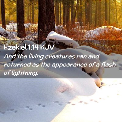 Picture 02 - Ezekiel 1:14 KJV - And the living creatures ran and returned as the - Bible Verse Picture