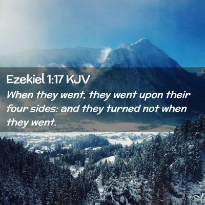 Picture 02 - Ezekiel 1:17 KJV - When they went, they went upon their four sides: - Bible Verse Picture