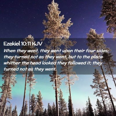 Picture 02 - Ezekiel 10:11 KJV - When they went, they went upon their four sides; - Bible Verse Picture