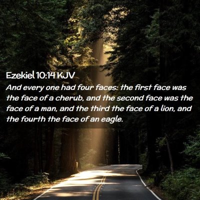 Picture 02 - Ezekiel 10:14 KJV - And every one had four faces: the first face was - Bible Verse Picture
