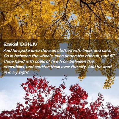 Picture 02 - Ezekiel 10:2 KJV - And he spake unto the man clothed with linen, and - Bible Verse Picture