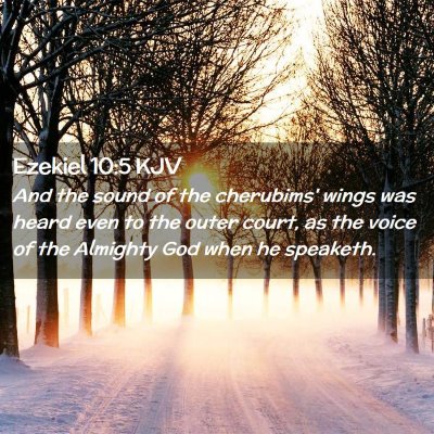 Picture 02 - Ezekiel 10:5 KJV - And the sound of the cherubims' wings was heard - Bible Verse Picture