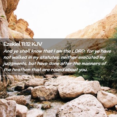 Picture 02 - Ezekiel 11:12 KJV - And ye shall know that I am the LORD: for ye have - Bible Verse Picture