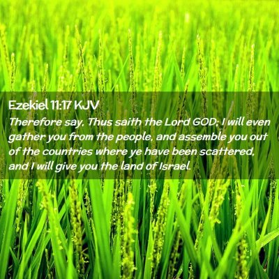 Picture 02 - Ezekiel 11:17 KJV - Therefore say, Thus saith the Lord GOD; I will - Bible Verse Picture