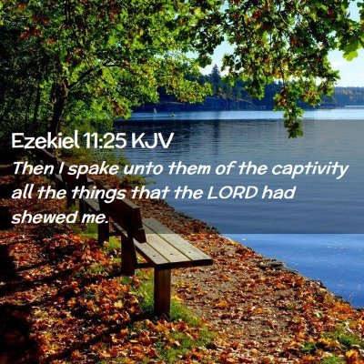 Picture 02 - Ezekiel 11:25 KJV - Then I spake unto them of the captivity all the - Bible Verse Picture