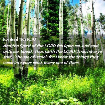 Picture 02 - Ezekiel 11:5 KJV - And the Spirit of the LORD fell upon me, and said - Bible Verse Picture