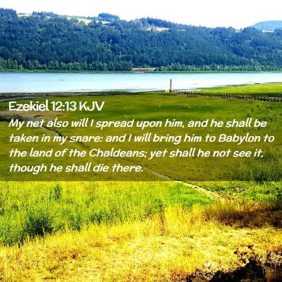 Picture 02 - Ezekiel 12:13 KJV - My net also will I spread upon him, and he shall - Bible Verse Picture