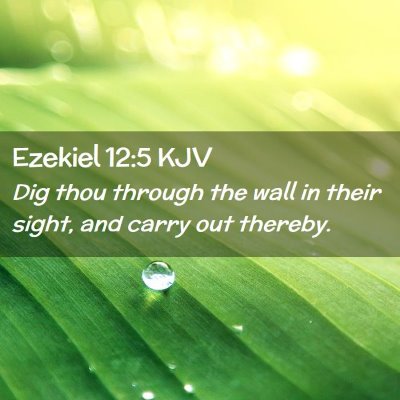 Picture 02 - Ezekiel 12:5 KJV - Dig thou through the wall in their sight, and - Bible Verse Picture