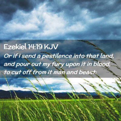 Picture 02 - Ezekiel 14:19 KJV - Or if I send a pestilence into that land, and - Bible Verse Picture