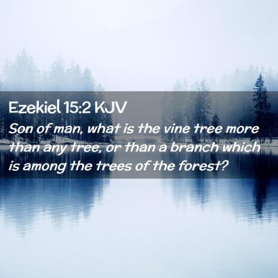 Picture 02 - Ezekiel 15:2 KJV - Son of man, what is the vine tree more than any - Bible Verse Picture