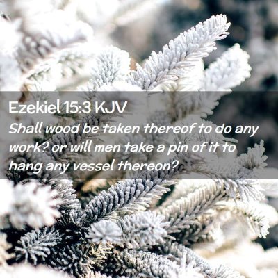 Picture 02 - Ezekiel 15:3 KJV - Shall wood be taken thereof to do any work? or - Bible Verse Picture