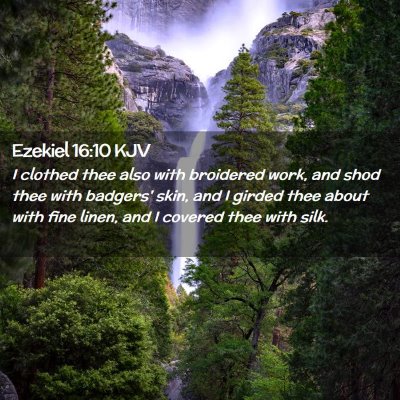 Picture 02 - Ezekiel 16:10 KJV - I clothed thee also with broidered work, and shod - Bible Verse Picture