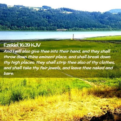 Picture 02 - Ezekiel 16:39 KJV - And I will also give thee into their hand, and - Bible Verse Picture