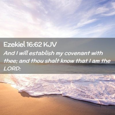 Picture 02 - Ezekiel 16:62 KJV - And I will establish my covenant with thee; and - Bible Verse Picture