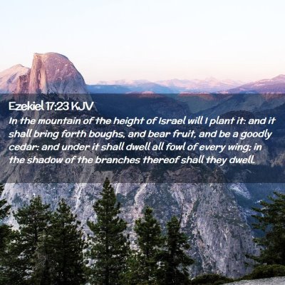 Picture 02 - Ezekiel 17:23 KJV - In the mountain of the height of Israel will I - Bible Verse Picture