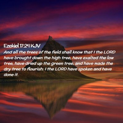 Picture 02 - Ezekiel 17:24 KJV - And all the trees of the field shall know that I - Bible Verse Picture