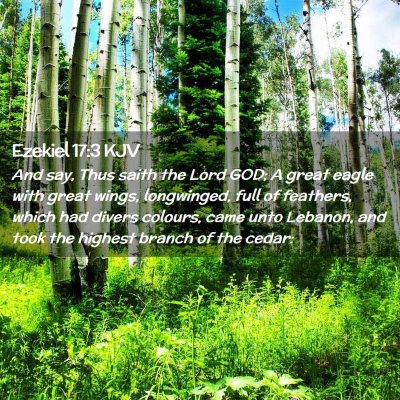 Picture 02 - Ezekiel 17:3 KJV - And say, Thus saith the Lord GOD; A great eagle - Bible Verse Picture