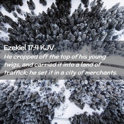 Picture 02 - Ezekiel 17:4 KJV - He cropped off the top of his young twigs, and - Bible Verse Picture