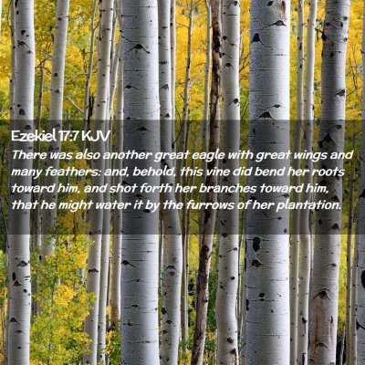 Picture 02 - Ezekiel 17:7 KJV - There was also another great eagle with great - Bible Verse Picture