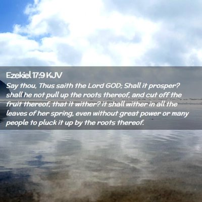 Picture 02 - Ezekiel 17:9 KJV - Say thou, Thus saith the Lord GOD; Shall it - Bible Verse Picture