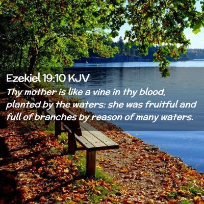Picture 02 - Ezekiel 19:10 KJV - Thy mother is like a vine in thy blood, planted - Bible Verse Picture