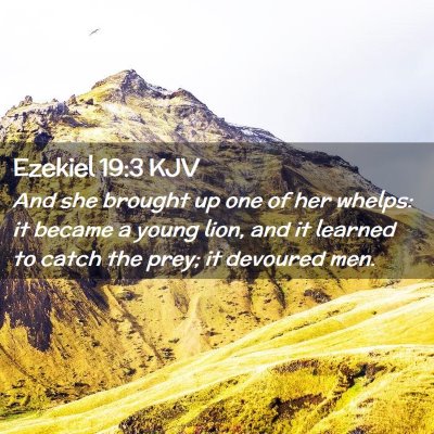 Picture 02 - Ezekiel 19:3 KJV - And she brought up one of her whelps: it became a - Bible Verse Picture