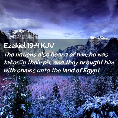 Picture 02 - Ezekiel 19:4 KJV - The nations also heard of him; he was taken in - Bible Verse Picture
