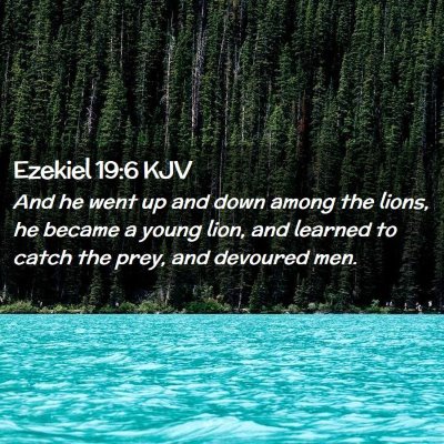 Picture 02 - Ezekiel 19:6 KJV - And he went up and down among the lions, he - Bible Verse Picture