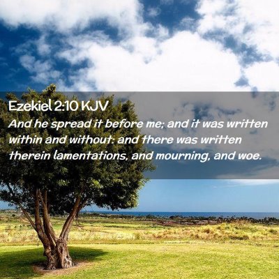 Picture 02 - Ezekiel 2:10 KJV - And he spread it before me; and it was written - Bible Verse Picture