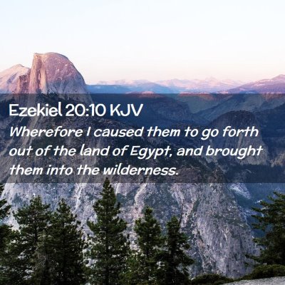 Picture 02 - Ezekiel 20:10 KJV - Wherefore I caused them to go forth out of the - Bible Verse Picture