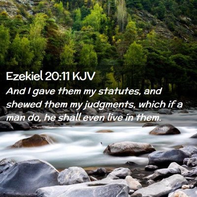 Picture 02 - Ezekiel 20:11 KJV - And I gave them my statutes, and shewed them my - Bible Verse Picture