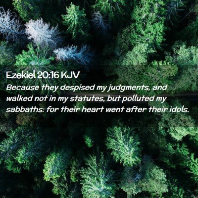 Picture 02 - Ezekiel 20:16 KJV - Because they despised my judgments, and walked - Bible Verse Picture