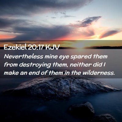 Picture 02 - Ezekiel 20:17 KJV - Nevertheless mine eye spared them from destroying - Bible Verse Picture
