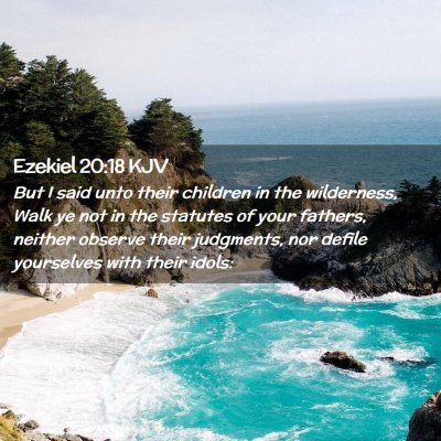 Picture 02 - Ezekiel 20:18 KJV - But I said unto their children in the wilderness, - Bible Verse Picture