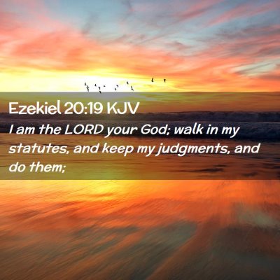 Picture 02 - Ezekiel 20:19 KJV - I am the LORD your God; walk in my statutes, and - Bible Verse Picture