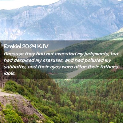 Picture 02 - Ezekiel 20:24 KJV - Because they had not executed my judgments, but - Bible Verse Picture