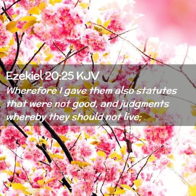 Picture 02 - Ezekiel 20:25 KJV - Wherefore I gave them also statutes that were not - Bible Verse Picture